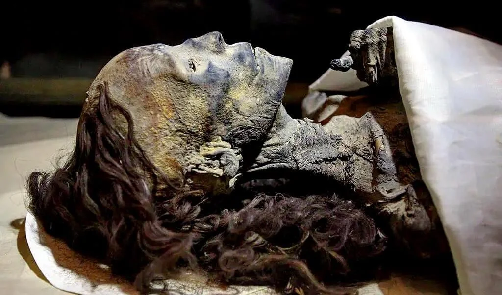 Queen Tiye - Egypt Fun Tours