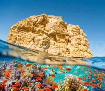 Red Sea Coastal Relaxation - Egypt Tours