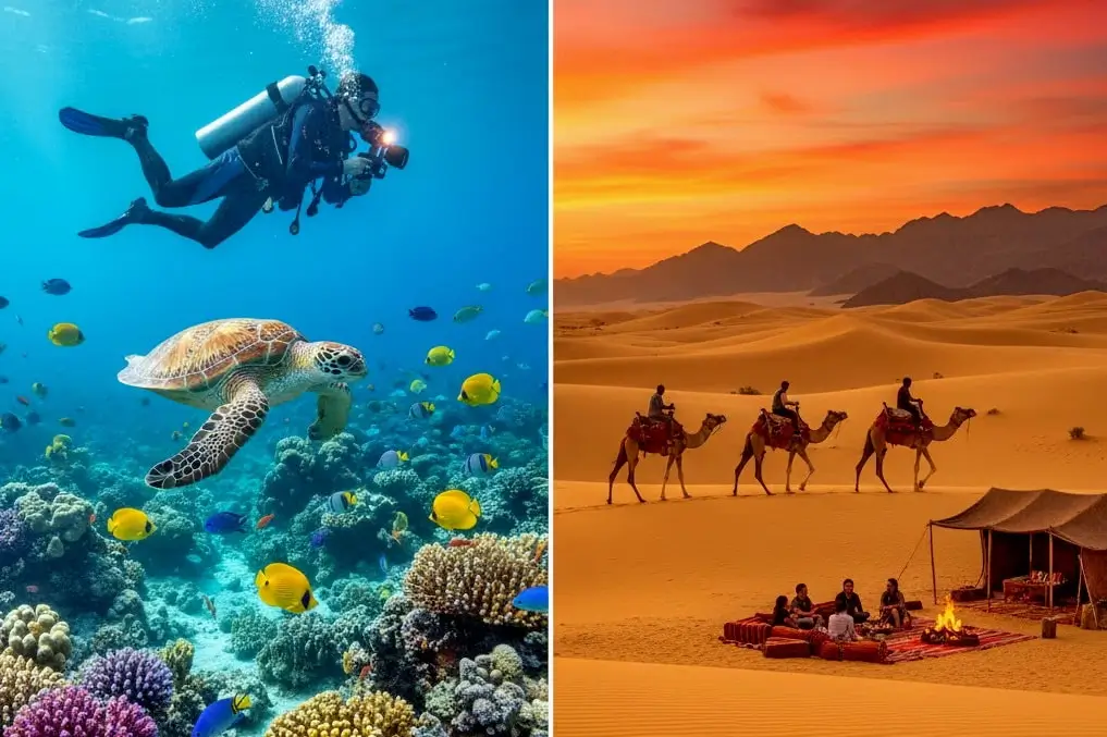 Why Trust This Red Sea Travel Guide for Your Holiday Plans