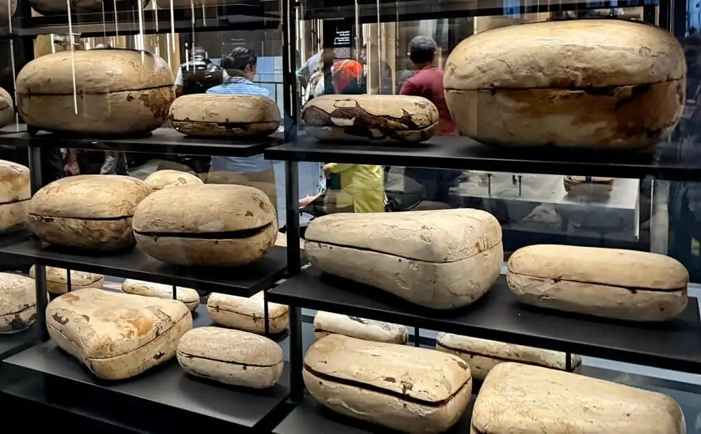 Food for Eternity, Offerings, Lists, and Models