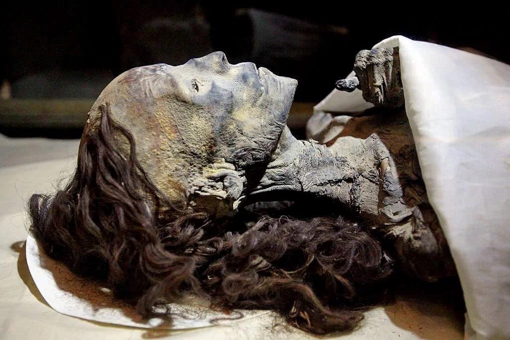 Queen Tiye's mummy