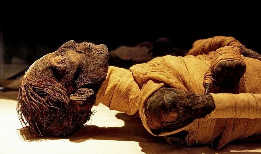 The mummy of Pharaoh Thutmose IV