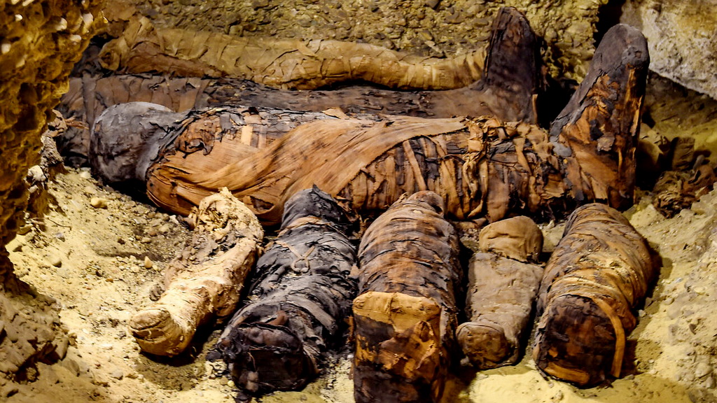 Religion and the Rise of the Animal Cults