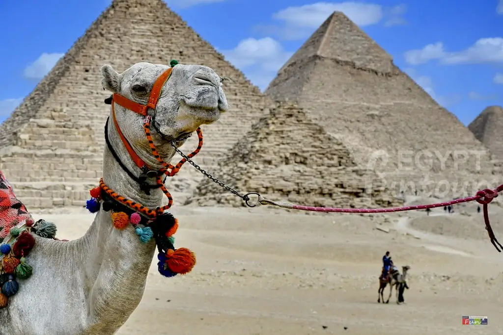 The Great Pyramids of Giza