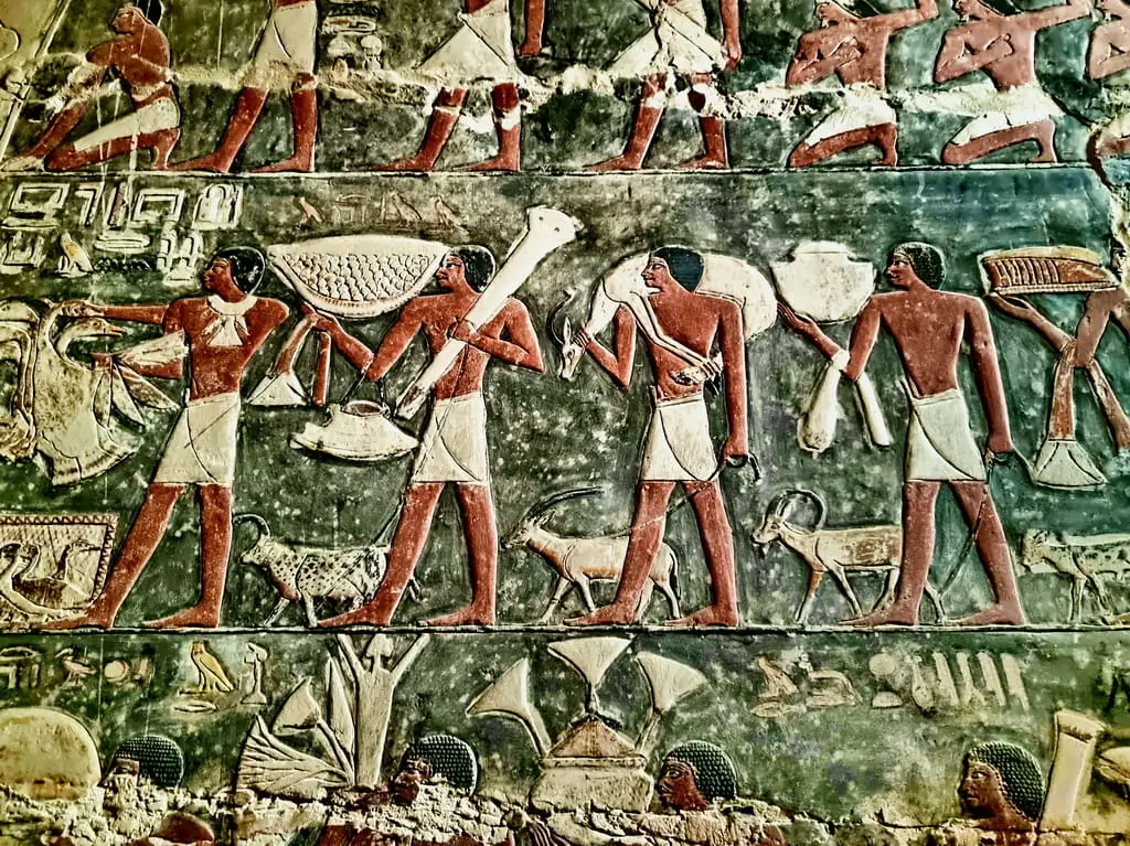 A Rare Window into Ancient Life