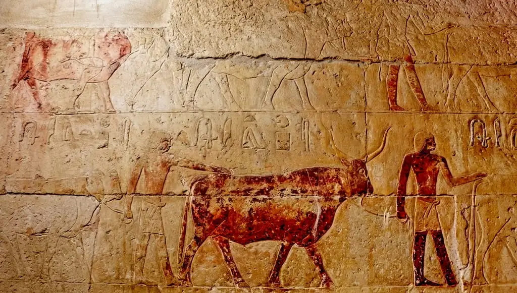 Artistic Legacy The Reliefs and Scenes of Daily Life