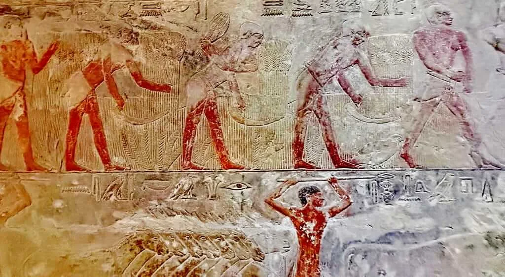 Daily Life Agriculture and Navigation