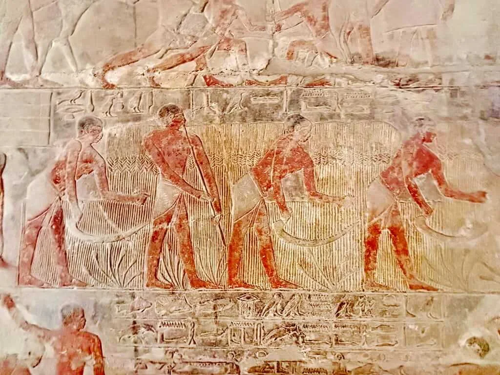 Expert Travel Tip for Your Visit