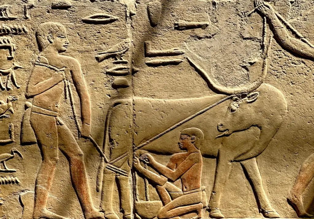 Expert Travel Tips Visiting the Mastaba of Kagemni