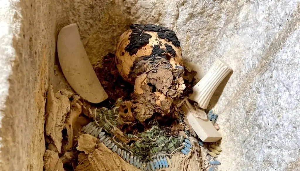 Frequently Asked Questions (FAQ)