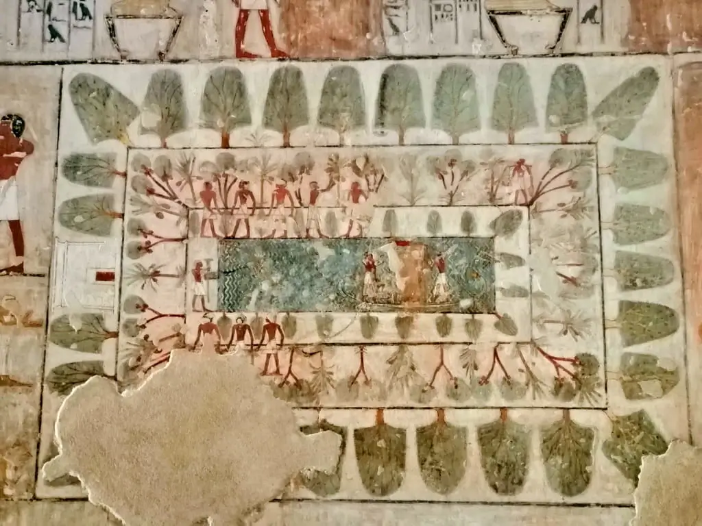 Glossary of Key Terms for Understanding TT100