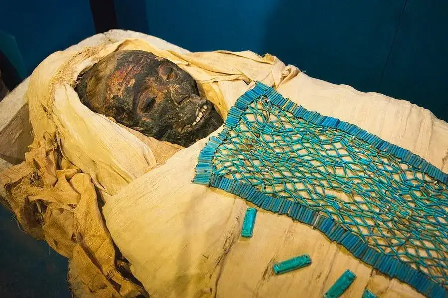 Mummy-of-Ankh-Hor - Practical Tips for Visiting the Tomb of Ankh-Hor (TT414)