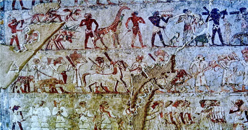 Must-See Highlights Within the Sheikh Abd el-Qurna Tombs - The Tomb of Rekhmire (TT100)