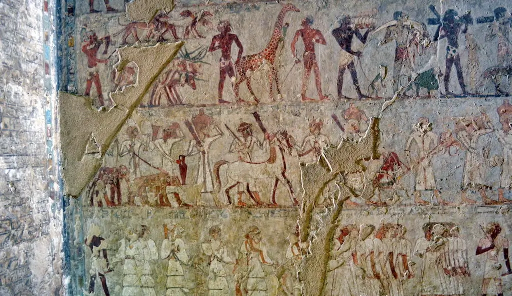 The Legacy of the Tomb of Rekhmire (TT100)