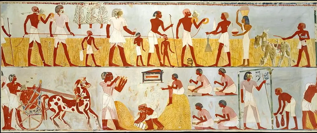 The Precision of the Land Survey