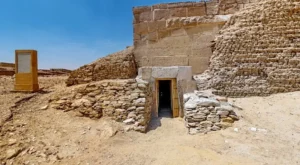 The Tomb of Mehu A Masterpiece of Old Kingdom Color