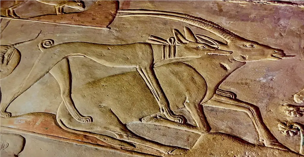 Tomb of Ptahhotep; Anatomy and Realism