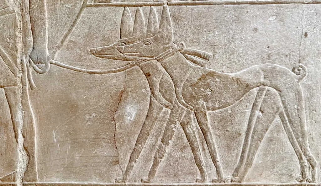 Why Mereruka is Unmissable