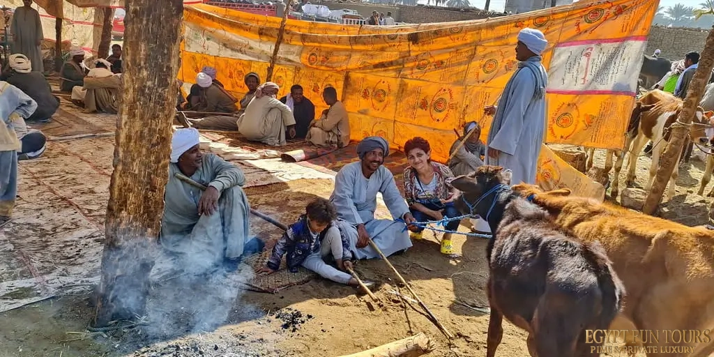 A Convergence of Cultures The People of Daraw - Daraw Camel Market