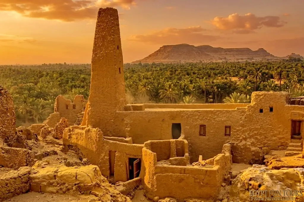 Alexander the Great in Siwa, A Legendary Encounter