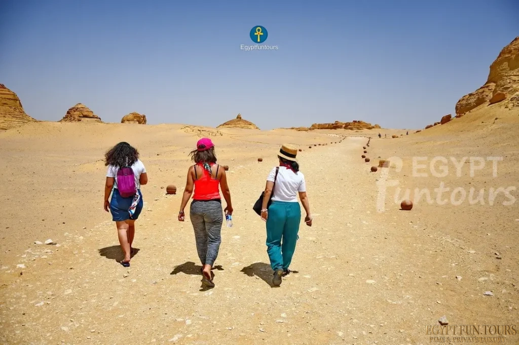 El fayoum wadi Hitan 3