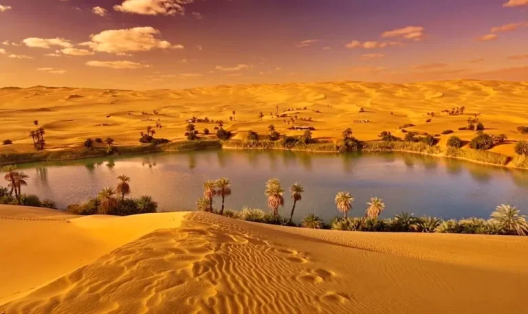 Healing Waters A Guide to the Hot & Cold Springs of Bahariya