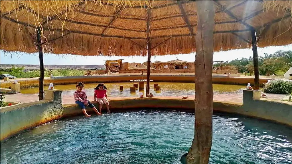 Navigating Your Oasis Experience