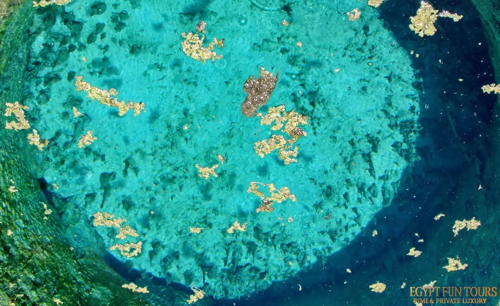 The Geology of the Bath of Cleopatra An Oasis Wonder