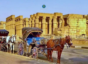 horse carriage at luxor