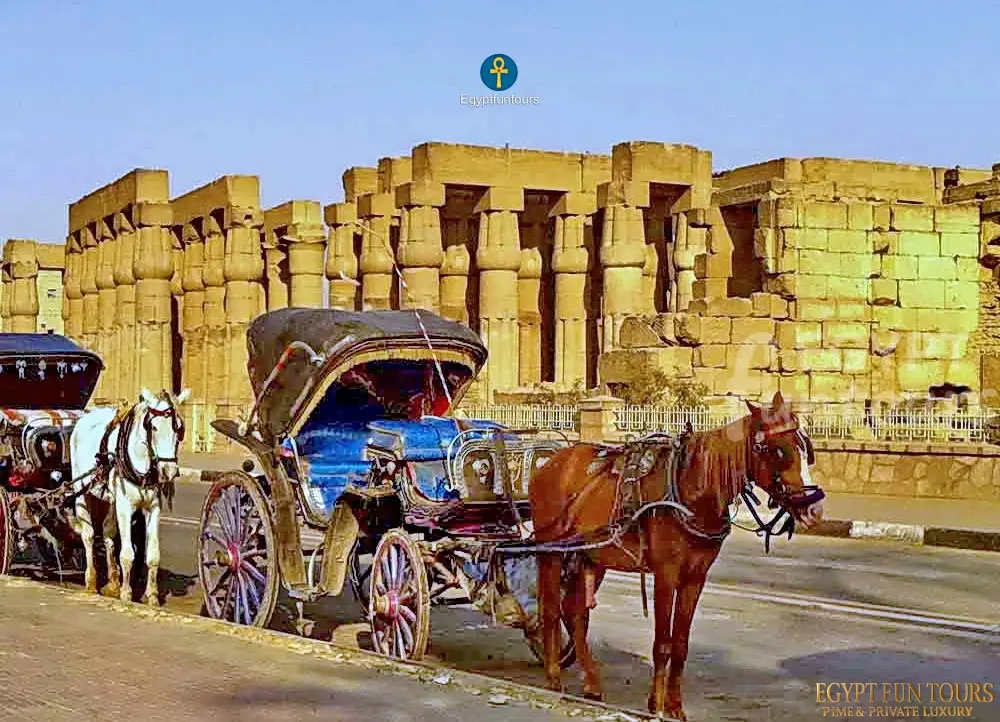 Luxor City Tour By Horse Carriage - Egypt Fun Tours