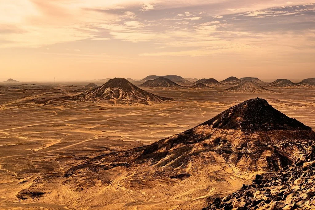 Bahariya Oasis Desert Why This Region Matters