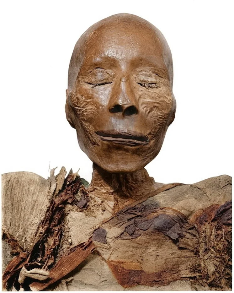 Thutmose I Mummy A New Architectural Standard