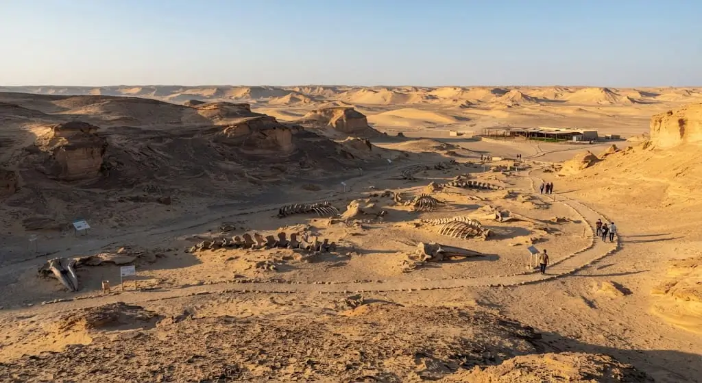 7. Wadi Al-Hitan (Whale Valley) Egypt’s Natural Wonder - UNESCO World Heritage Sites in Egypt