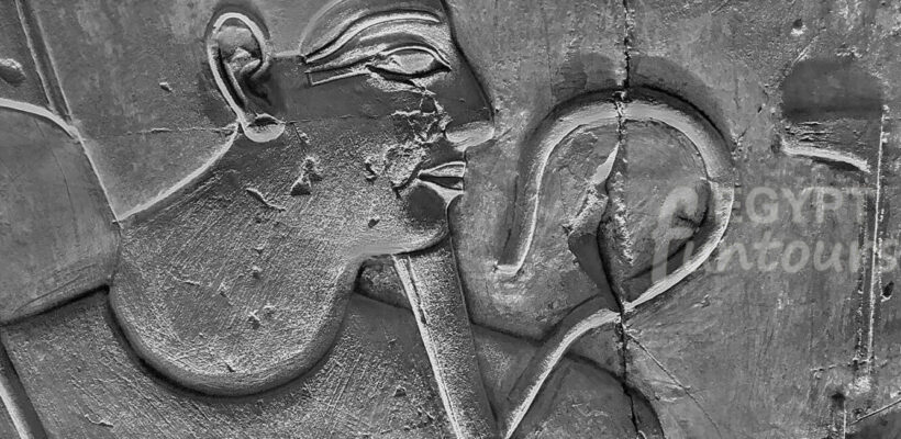 10 Day Egypt Tour to Cairo NIle Cruise Abu Simbel Wadi El Hitan Egypt Fun Tours min 1