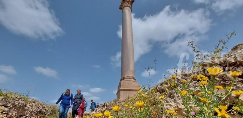 10 top rated attractions and things to do in alexandria egypt fun tours