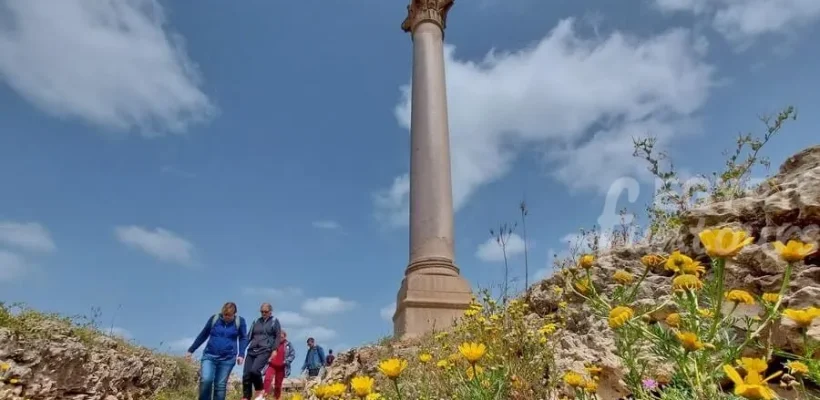 10 top rated attractions and things to do in alexandria egypt fun tours