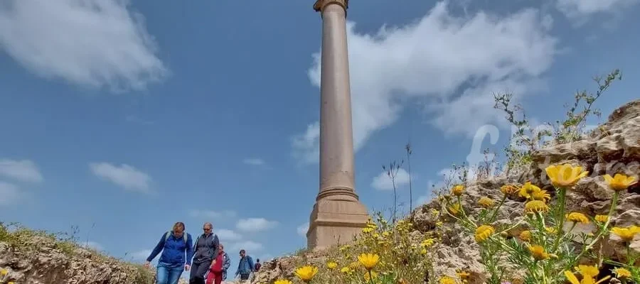 10 top rated attractions and things to do in alexandria egypt fun tours