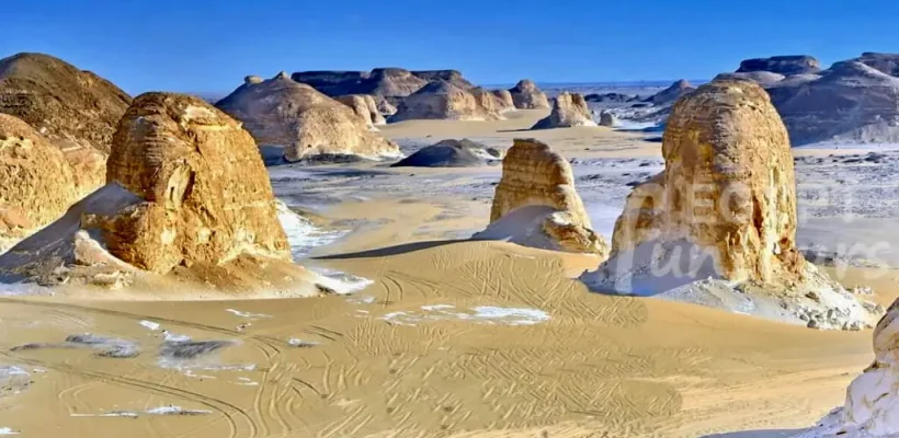 2-Day White Desert & Bahariya Oasis Private Safari; A Surreal Expedition from Cairo - white desert