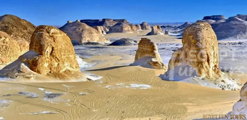2-Day White Desert & Bahariya Oasis Private Safari; A Surreal Expedition from Cairo - white desert