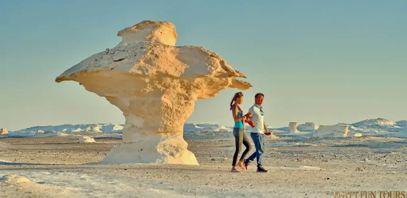 3-Night White Desert Camping and Bahariya Oasis Tours