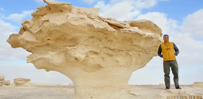 3-day desert safari trip from Cairo—Egypt Fun Tours