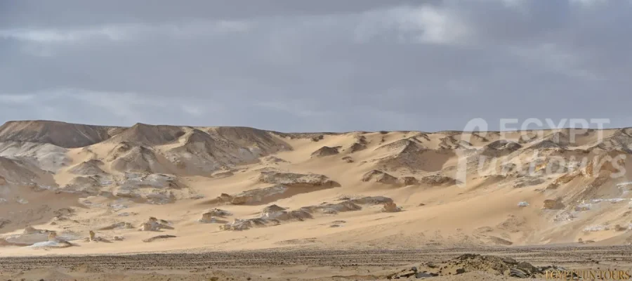 5 Days Mystical Tour to Cairo and El Bahariya Oasis Egypt Fun Tours