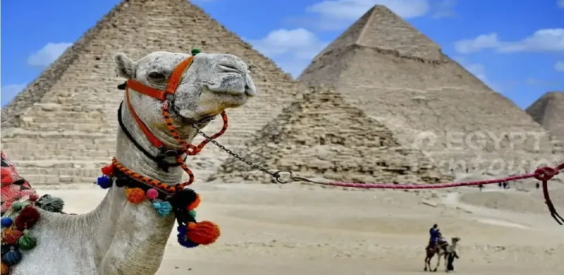 6-Day Cairo & Desert Safari