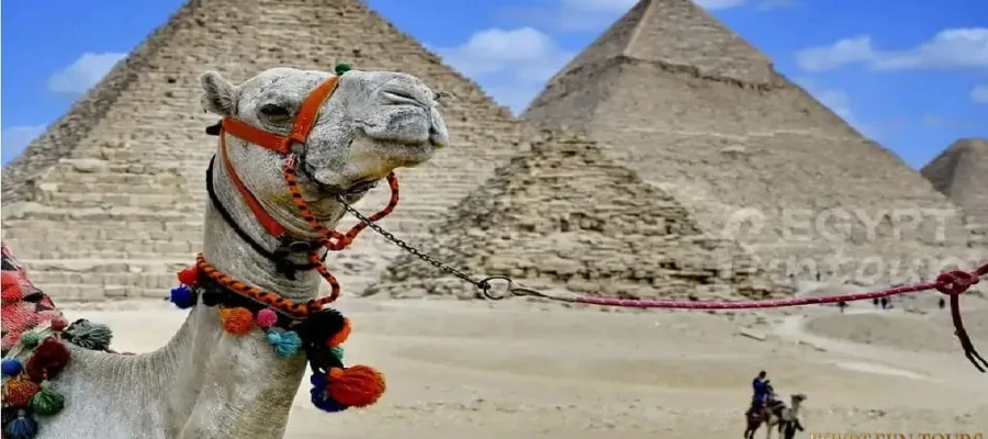 6-Day Cairo & Desert Safari