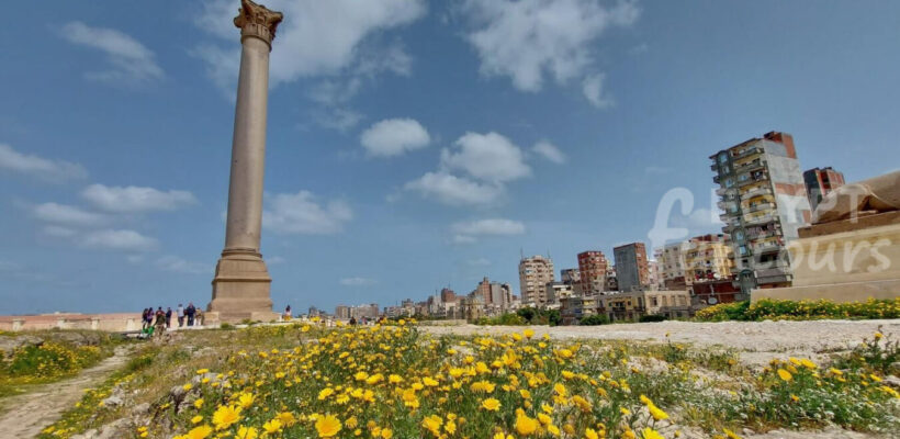 6 Days Tours of Alexandria Wadi El Hitan El Fayoum Oasis and Cairo - meditation tour