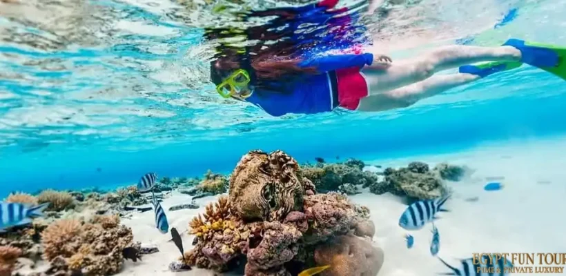7 Days Cairo Luxor Hurghada Tour Package - 7-day tour package