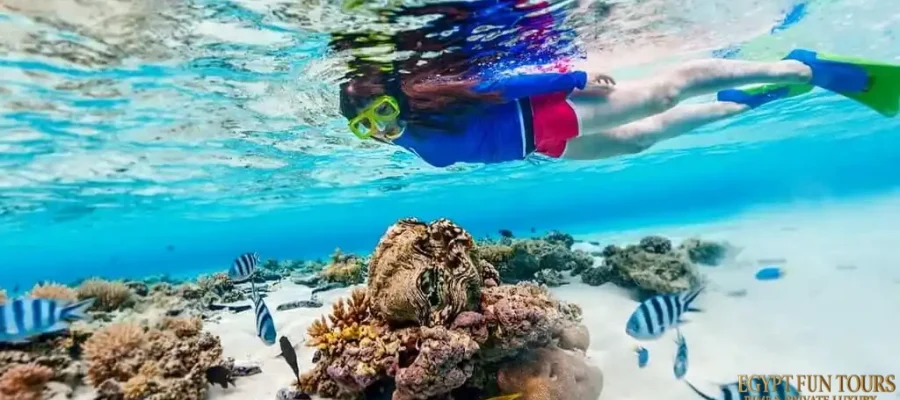 7 Days Cairo Luxor Hurghada Tour Package - 7-day tour package
