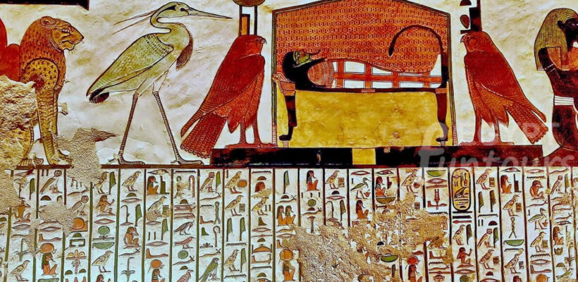 8 Days Cairo Nile Cruise Hurghada Wheelchair Tour Package - 8-day tour package