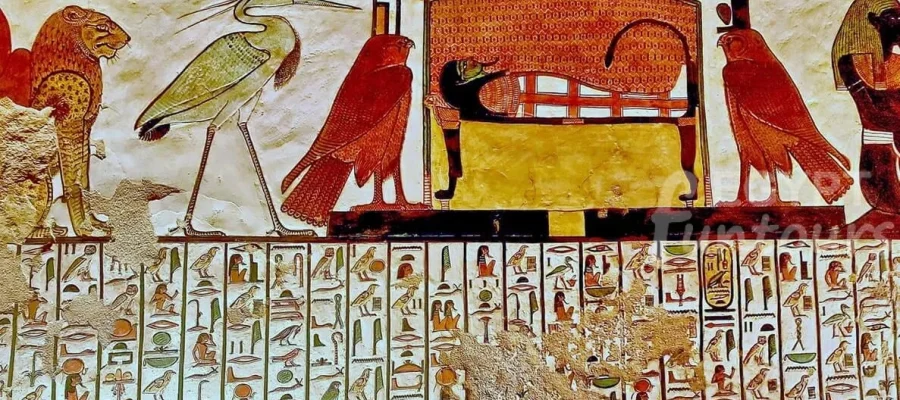 8 Days Cairo Nile Cruise Hurghada Wheelchair Tour Package - 8-day tour package