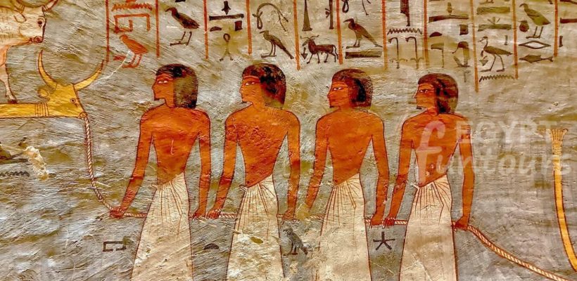 9 Days Cairo Fayoum and Nile Cruise Tour Egypt Fun Tours min 1